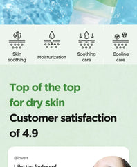 Aloe Soothing Gel Moisture Type