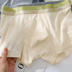Contrast Trim Boxer Briefs / Set