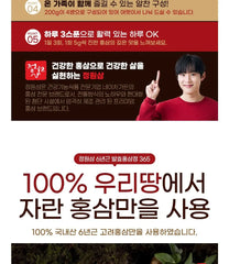 Korean Fermented Red Ginseng Extract 365 2pcs Bundle Set