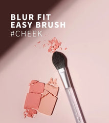 Blur Fit Easy Brush Cheek