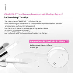 Reedle Shot Lip Plumper Expert