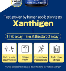 Body Fat Diet Kaloout Xanthigen+