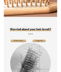 Hair Brush Cleaning Brush