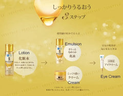 Hada Labo Gokujyun Premium Lotion 2pcs Bundle Set