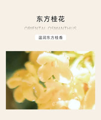 Oriental Osmanthus Eau De Parfum