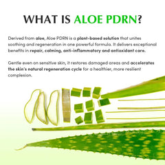 Aloe PDRN Calming Toner 2pcs Bundle Set
