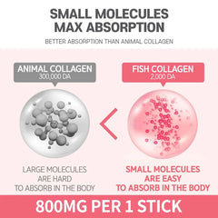 Small Molecular Collagen C