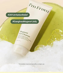 Mugwort Gel Cleanser 2pcs Bundle Set