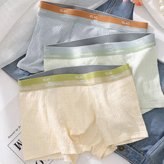 Contrast Trim Boxer Briefs / Set