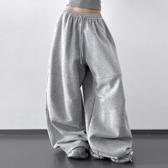 Drawstring Waist Plain Panel Baggy Sweatpants