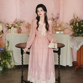Long Sleeve Collared Panel Lace Midi A-Line Dress