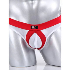 Panel Mesh Briefs