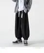Drawstring Waist Plain Harem Sweatpants