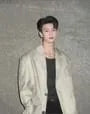 Lapel Collar Plain Single Breasted Blazer