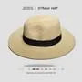 Plain Wide Brimmed Straw Hat