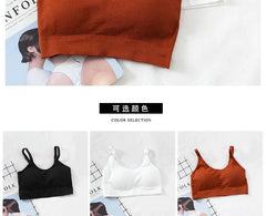 Sports Bra