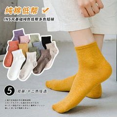 Set of 5 Pairs: Plain Socks