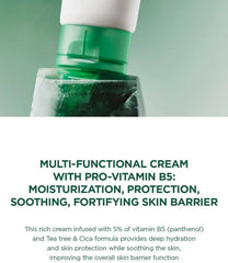 Madagascar Centella Tea-Trica B5 Cream