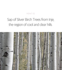 Birch Juice Moisturizing Tone Up Sunscreen
