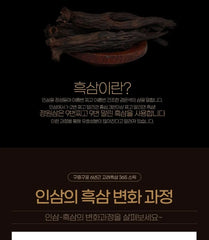 Korean Black Ginseng Extract 365 Stick
