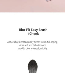 Blur Fit Easy Brush Cheek