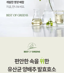 Best Of Greens Cabbage & Fermented Enzyme