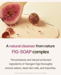 Fig Foam Cleanser