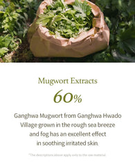 Mugwort Gel Cleanser Mini