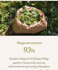 Mugwort Sheet Mask Set