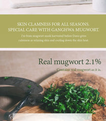 Mugwort Mask