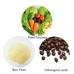 Yeast x Enzyme 219 Diet Tablets
