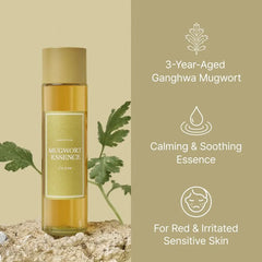 Mugwort Essence Mini 5pcs Bundle Set