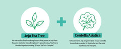 Tea Tree Cica Trouble Soothing Toner Pad