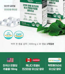 Memory Blood Circulation Gut Health Care Ginkgo Biloba Extract Probiotics