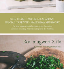 Mugwort Mask Mini 5pcs Bundle Set