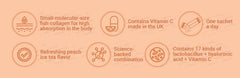 Small Molecular Collagen C Hyaluronic Acid Peach Bundle Set