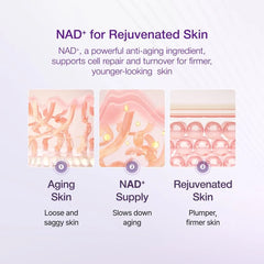 No.9 NAD Bio Lifting-sil Essence 30ml
