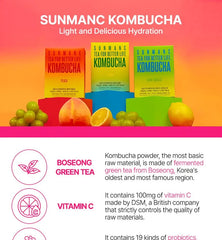 Tea For Better Life Kombucha Mini Pack Bundle Set - 7 Types