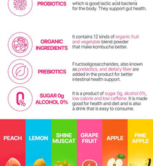 Tea For Better Life Kombucha Mini Pack Bundle Set - 7 Types