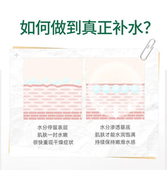 Aloe Vera Cucumber Hydrating Mask (10pcs)