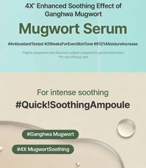 Mugwort Serum 2pcs Bundle Set