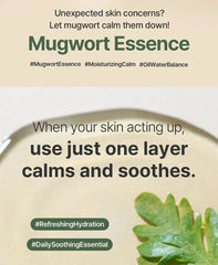 Mugwort Essence 2pcs Bundle Set