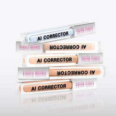 AI Corrector