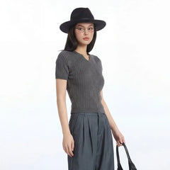 Short Sleeve V-Neck Plain Slim-Fit Knit Top