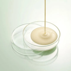 Green Tea Calming Cream + Biome Balance For Normal To Oily Skin Jumbo