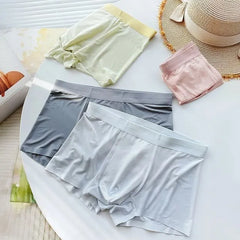 Plain Brief / Set