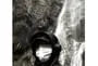 Hooded Plain Waterproof Zip Jacket