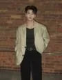 Lapel Collar Plain Single Breasted Blazer
